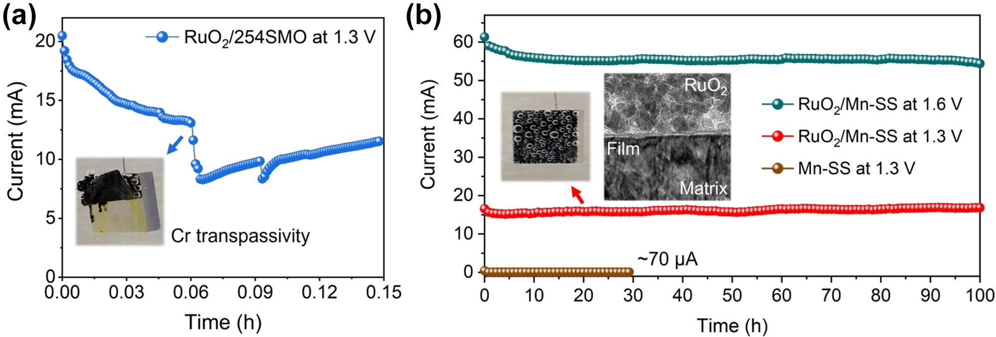 Oxygen evolution reaction (OER) stability of catalyst substrates in NaCl. (a) Potentiostatic stability measurements of the RuO2/254SMO electrode at 1300 mV(SCE); (b) Potentiostatic stability measurements of the RuO2/Mn-SS electrode at 1300 and 1600 mV(SCE). Inserted is the TEM image of the RuO2/Mn-SS interface at 1300 mV for one hour, showing the formation of a passive film.